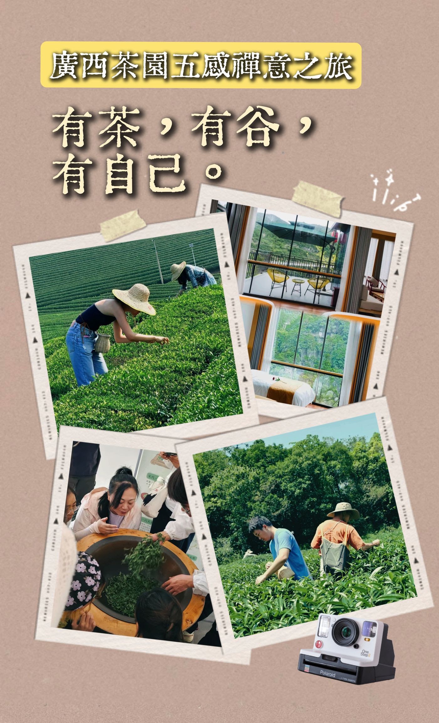 廣西容心谷茶園