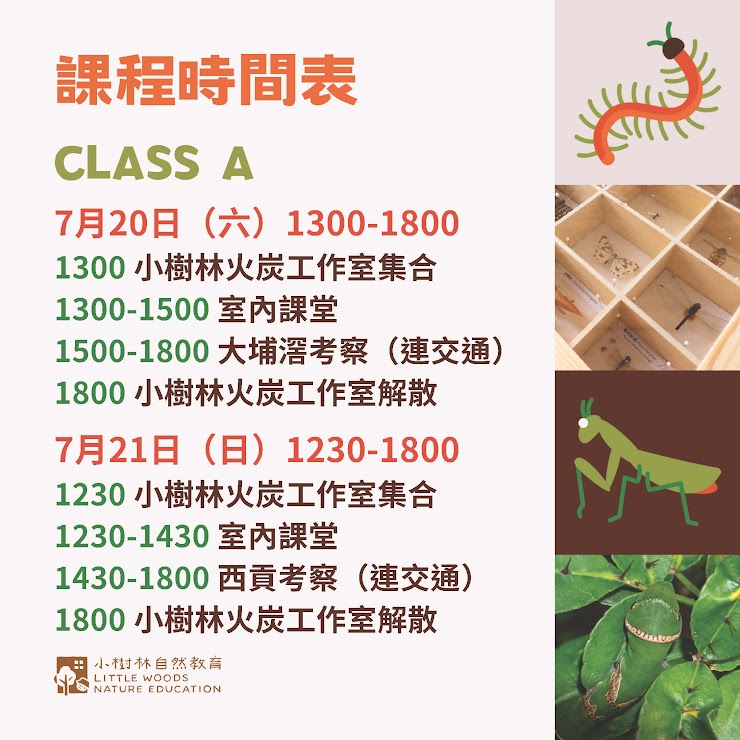 小小節肢動物學家訓練課程