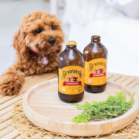 「阿梅團購 x Bundaberg氣泡飲」