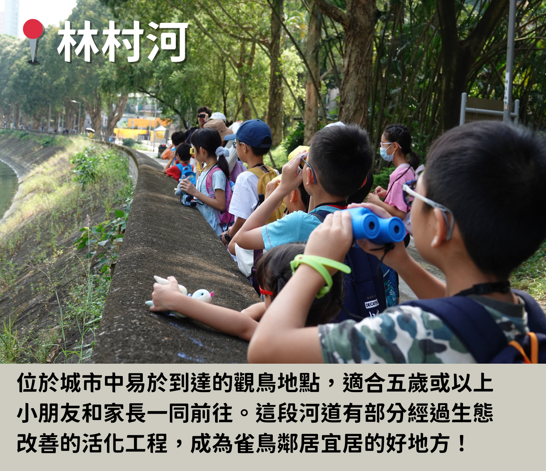 【親子/入門之選】林村河介紹