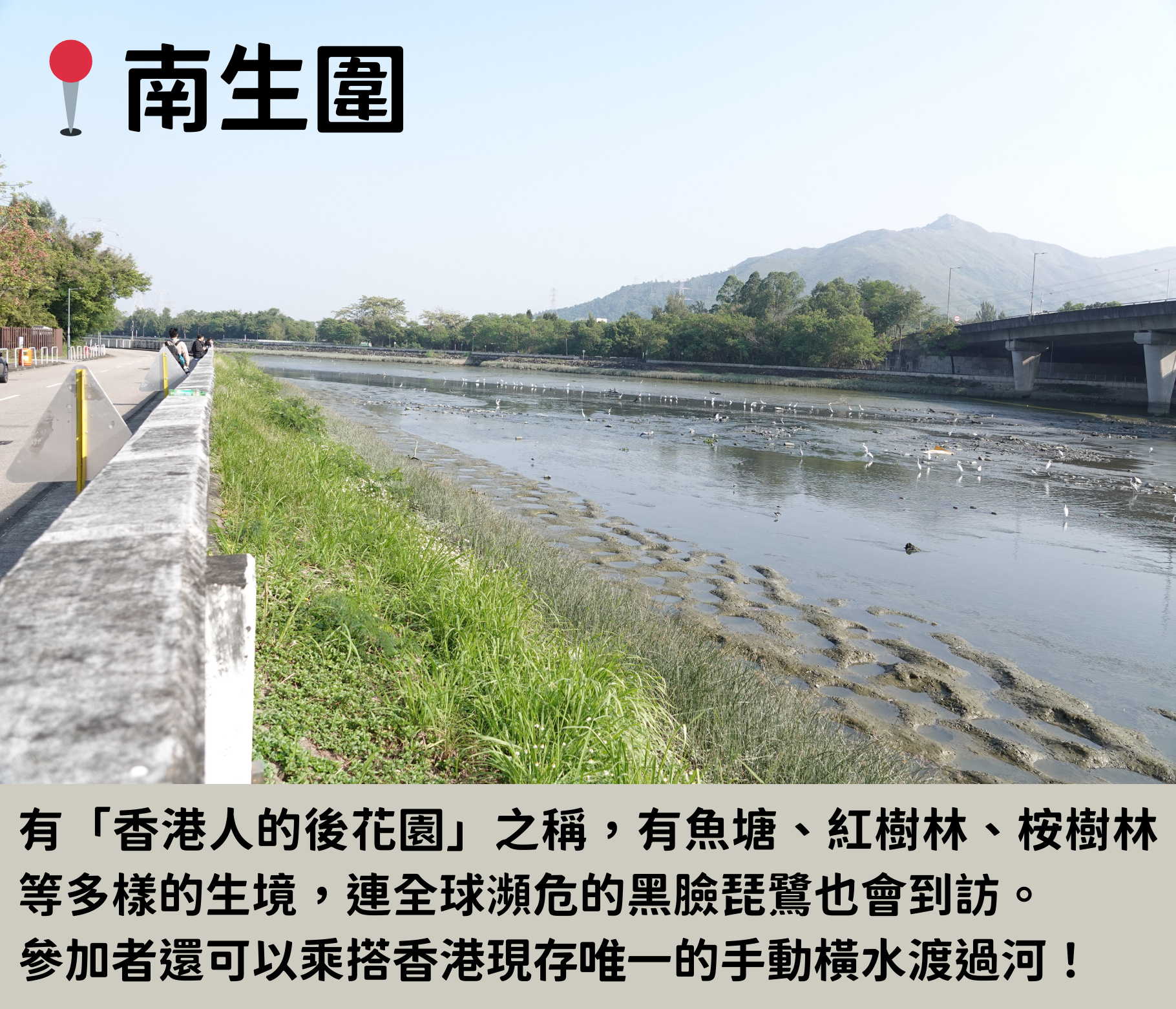 （包團限定選項）南生圍介紹