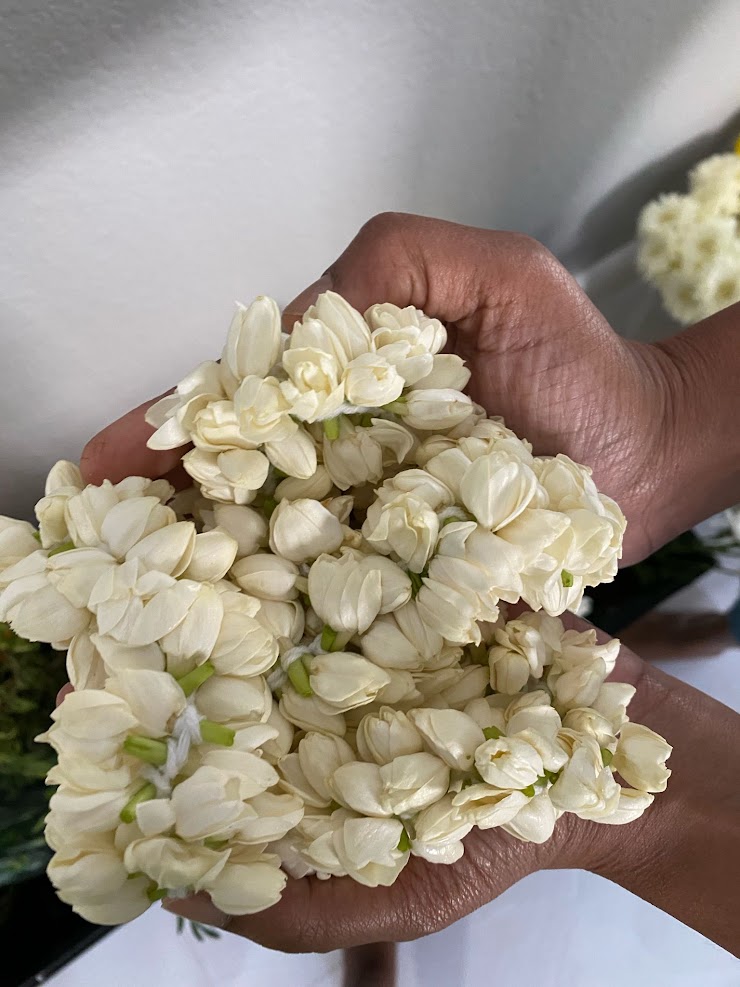 Jasmine