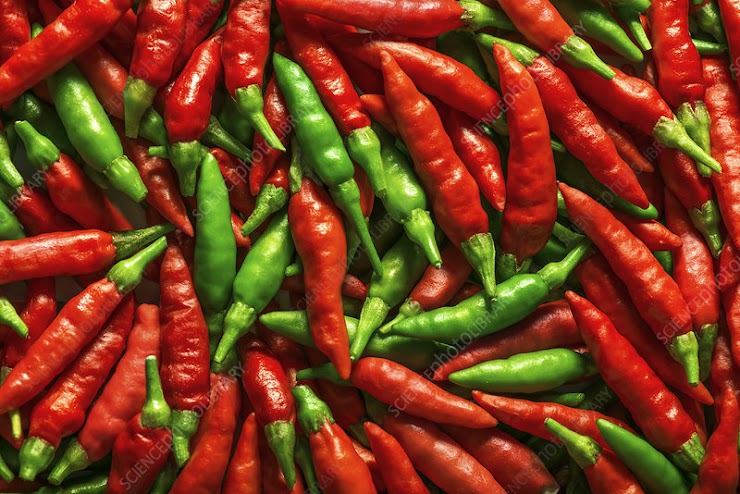 Red Chillies