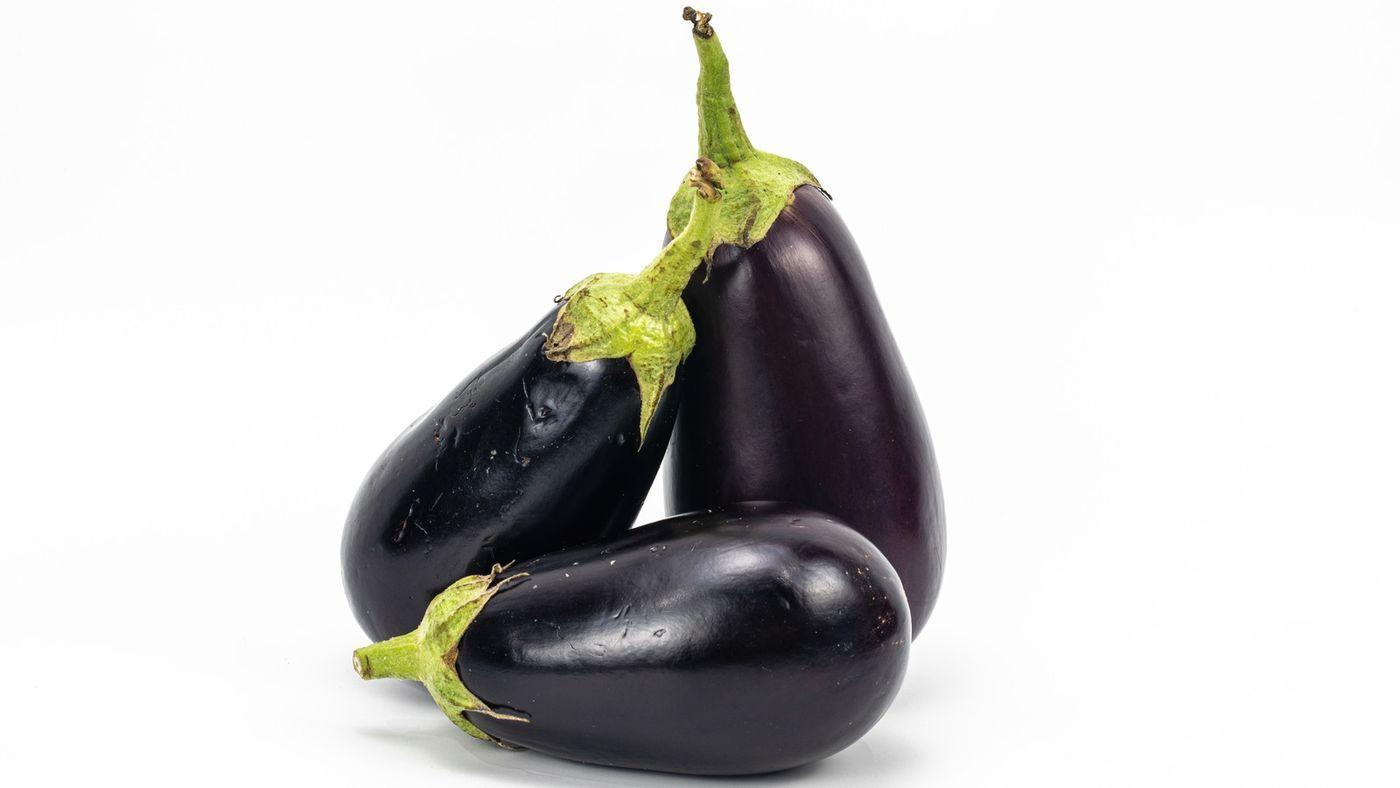 Berenjena (Egg Plant) Convencional