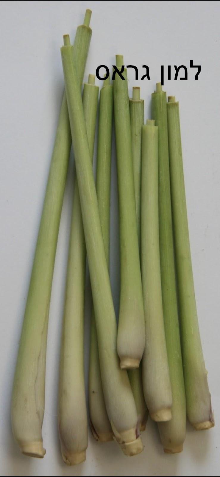 200גר למון גראס - 12₪