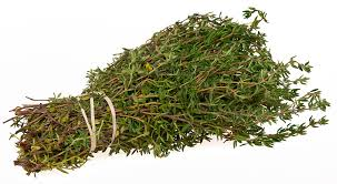 Tomillo Rollo (Thyme bundle)