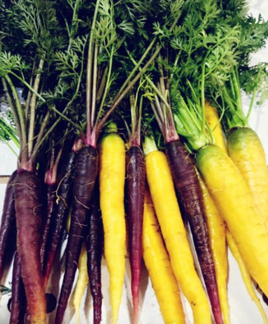 קג גזר צבעוני -14שח