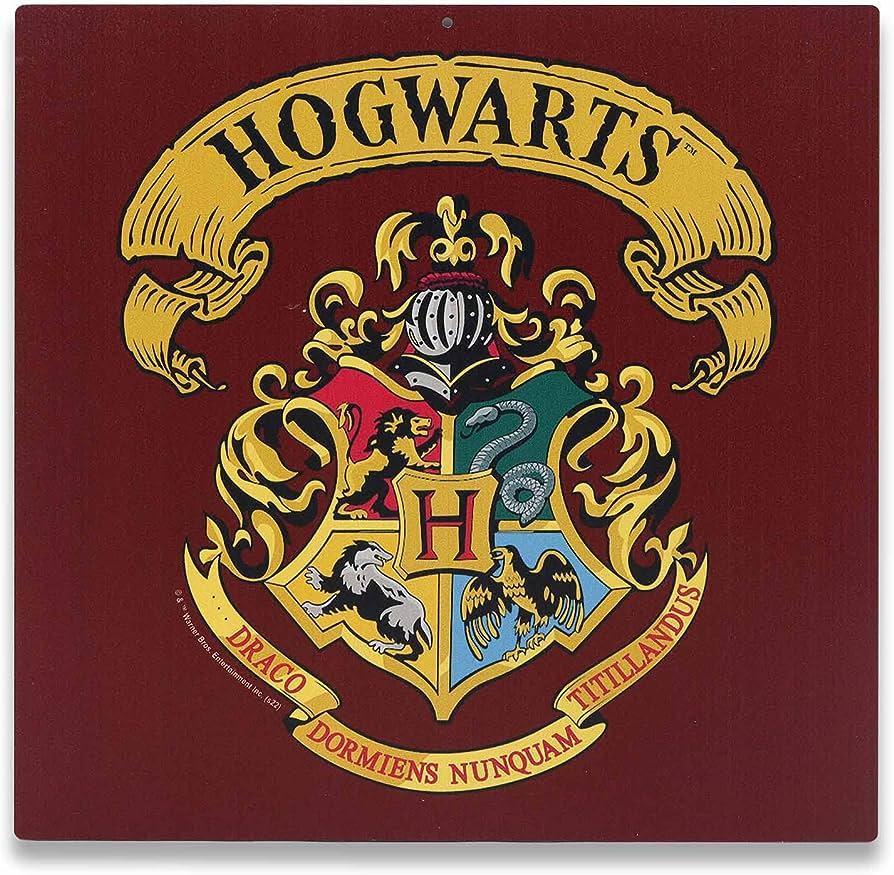 Which Hogwarts house do you secretly admire the most?