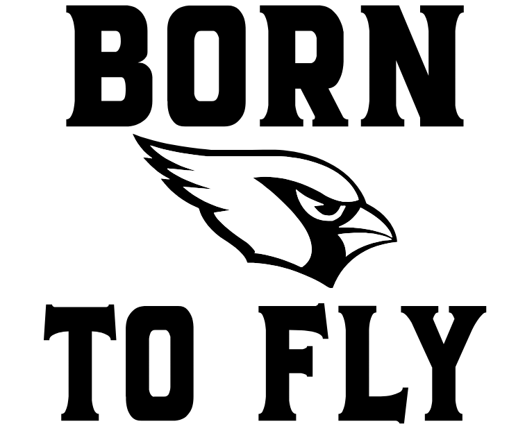 Born to Fly