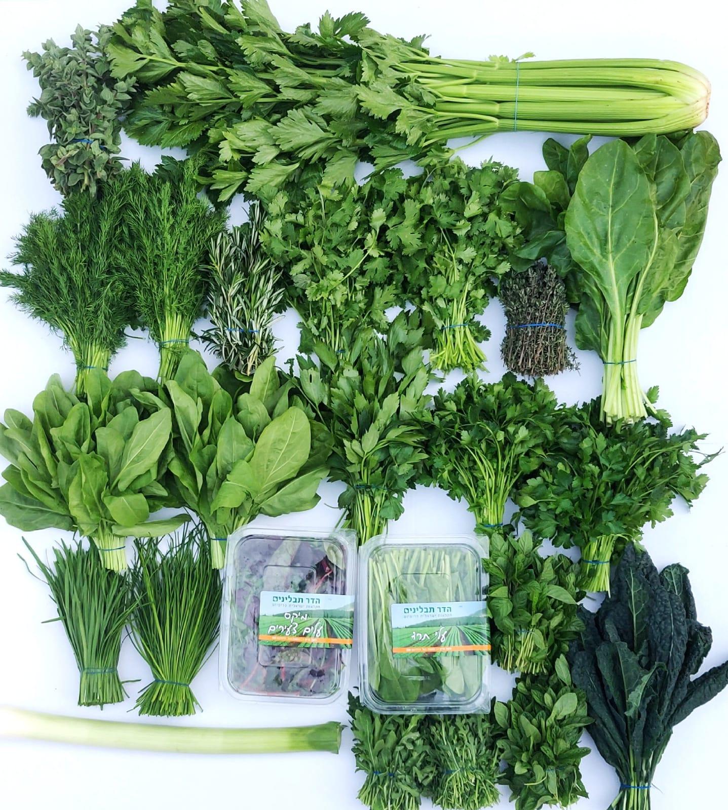 שקית ירק גדולה -  ₪50