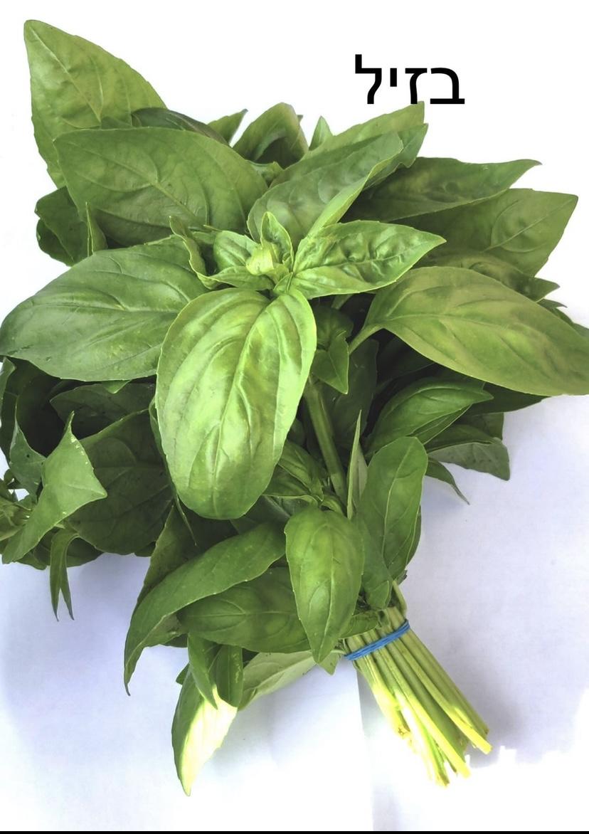 קילו בזיל - 30₪