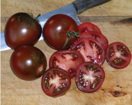 Black Prince Tomato SOLD OUT