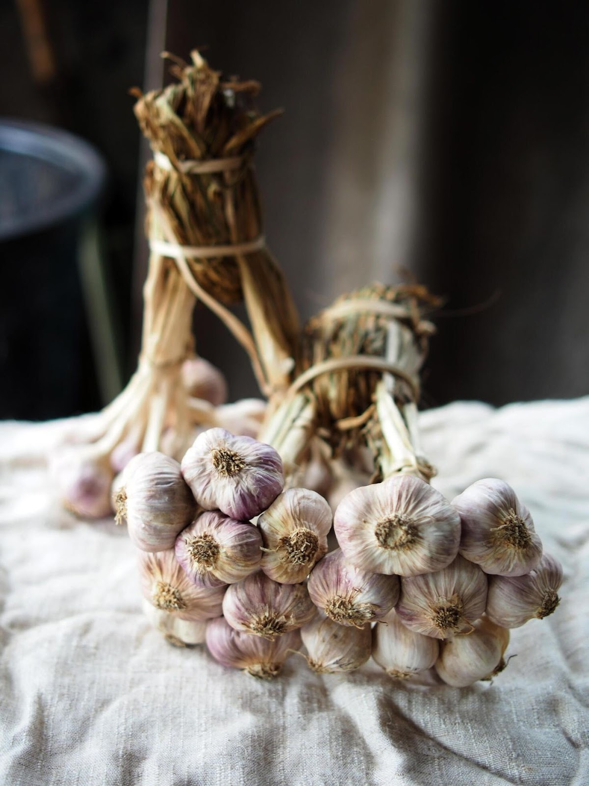 Ajo criollo en rollo (Criole garlic bundle)