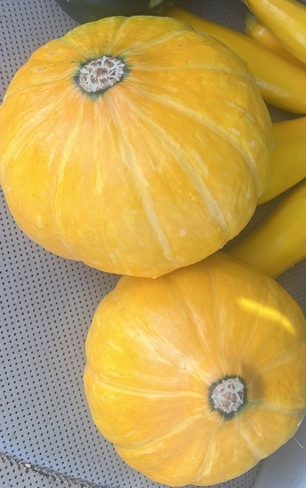 מבצע דלעת יפנית- 9₪