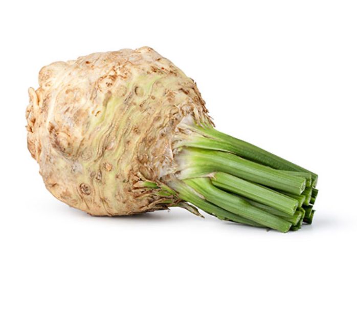 יח שורש סלרי - 5₪