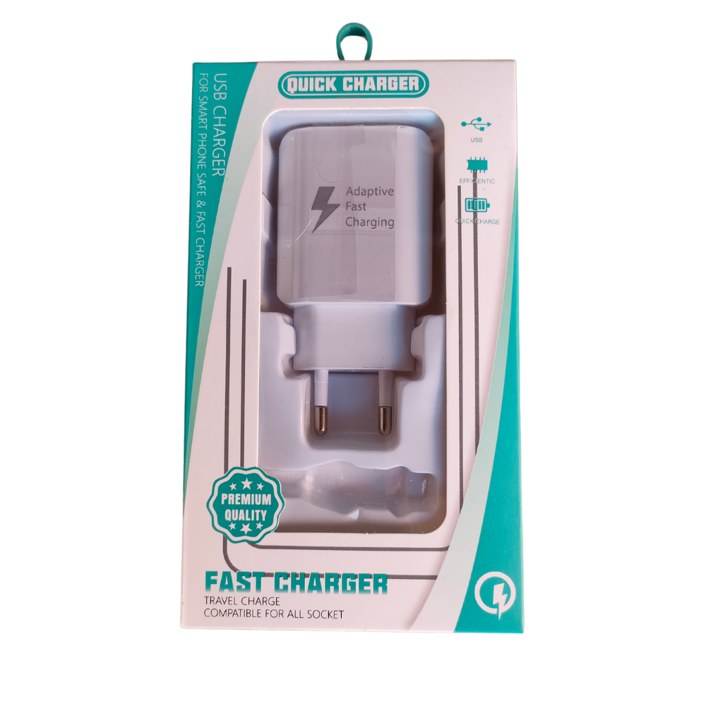 FAST CHARGER - WX-60