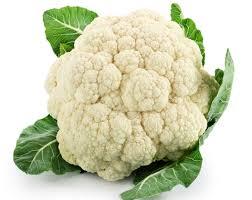 יח כרובית - 12₪