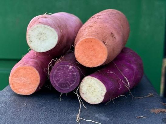 2קג מיקס בטטות- 25₪