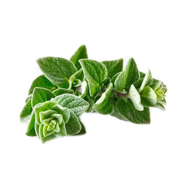 חצי קג זעתר  -20₪