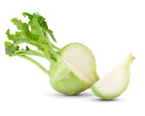 קג קולורבי - ₪10