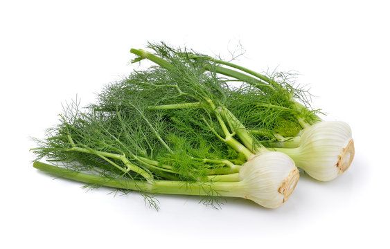 Hinojo (Fennel)