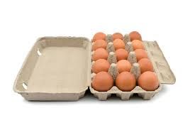 Carton de 15 Huevos (15 Eggs)