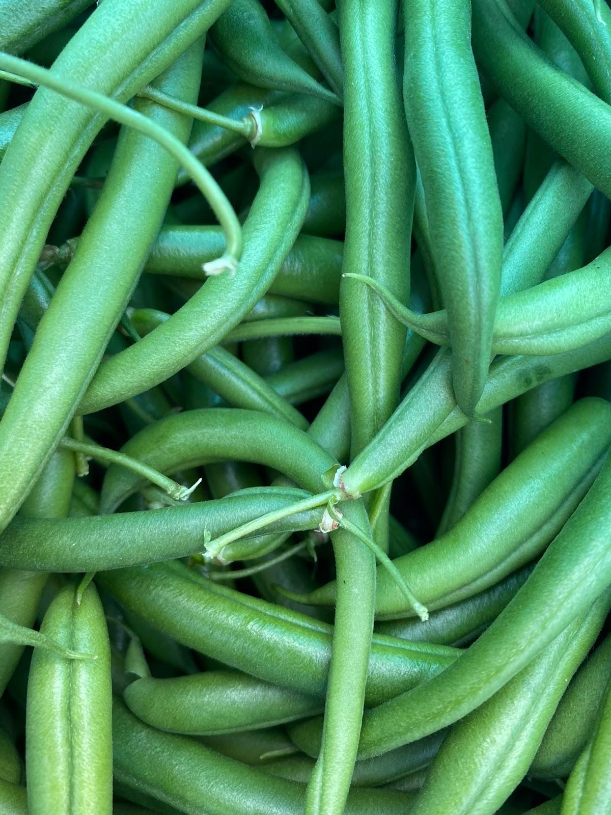 קג שעועית טריה -30₪