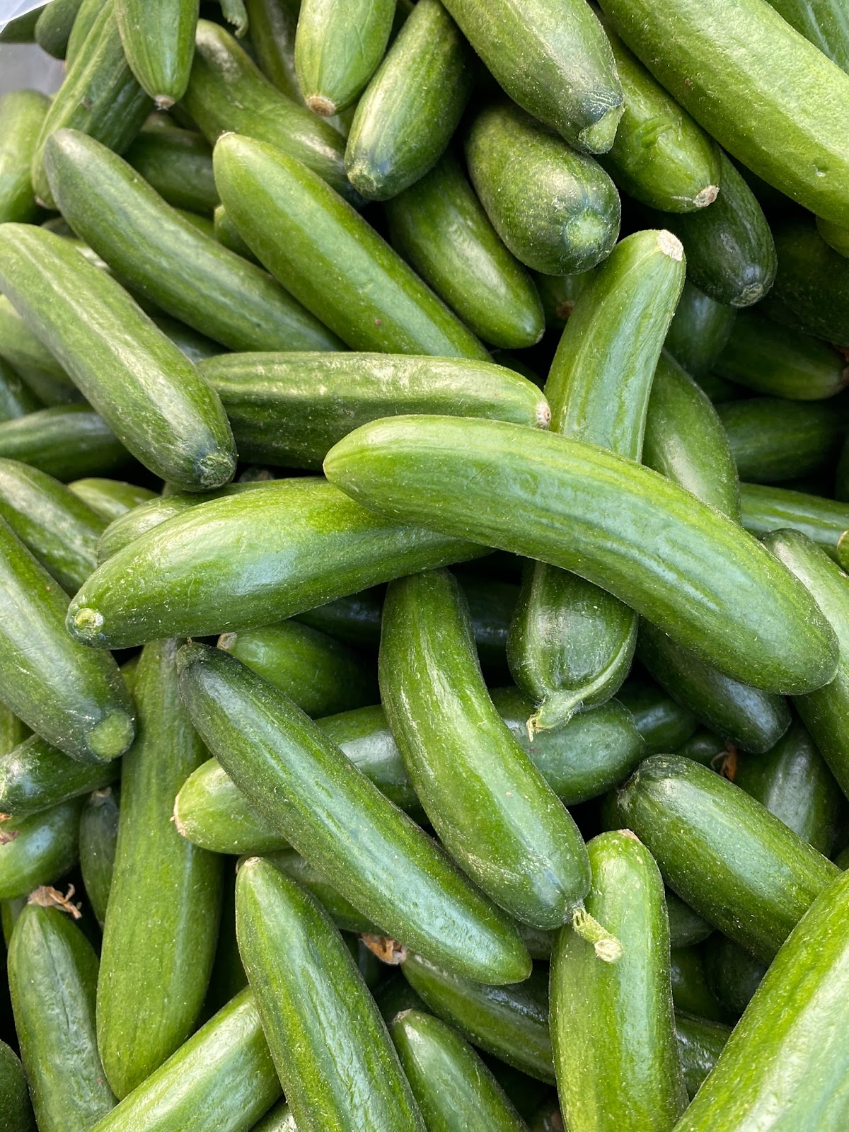 חצי קילו מלפפון בייבי -10₪ 