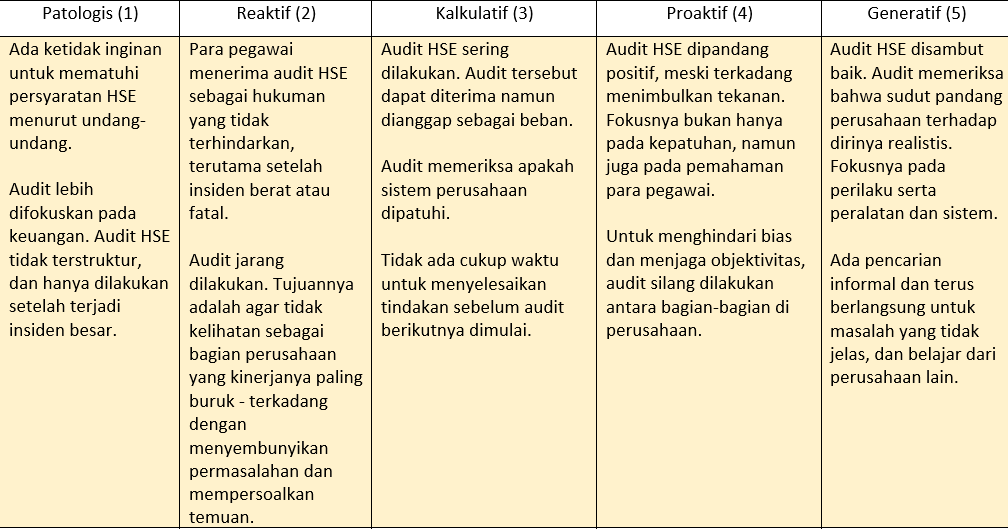 V.  Apa tujuan audit?