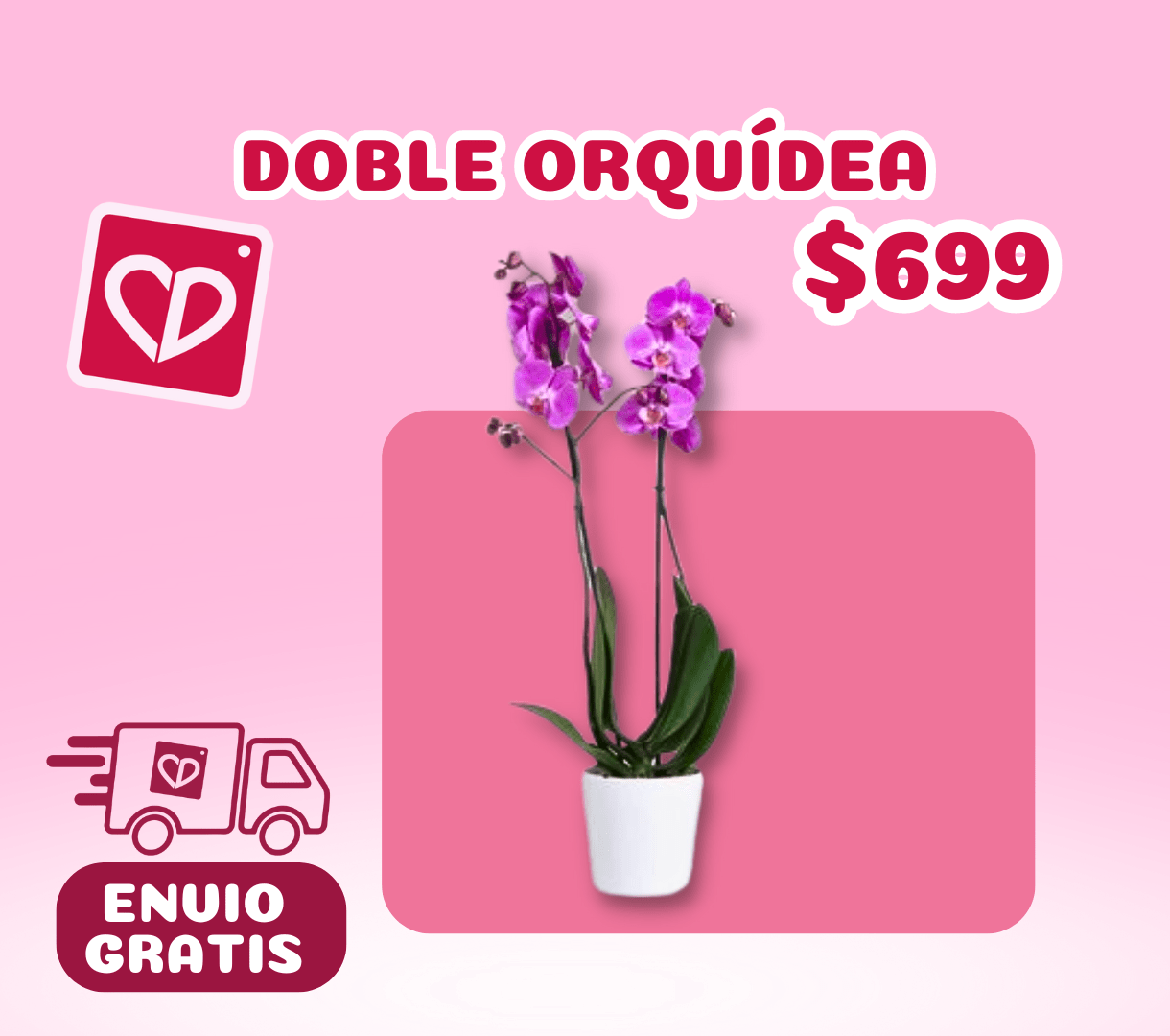 DOBLE ORQUÍDEA