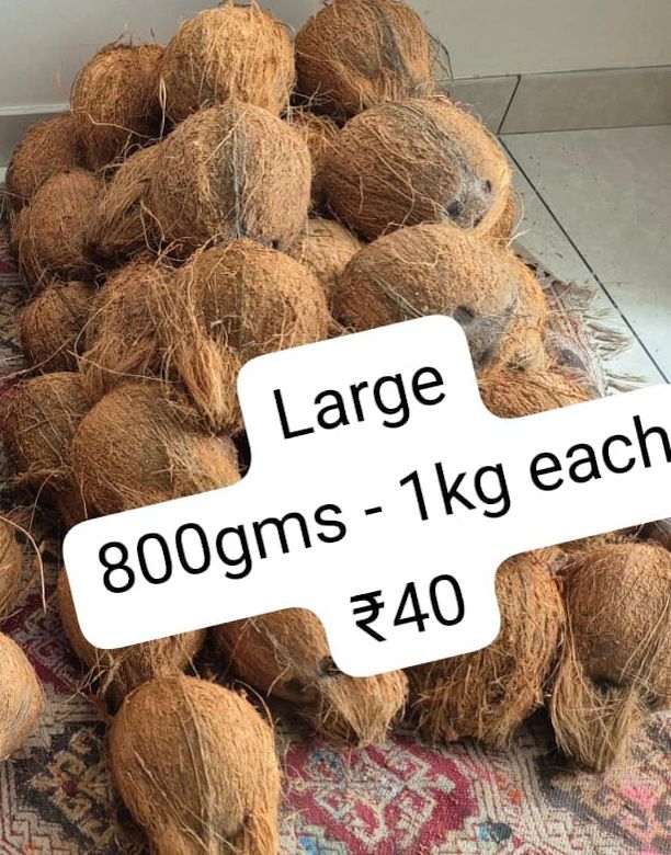 Coconut - Large - 40rs per piece