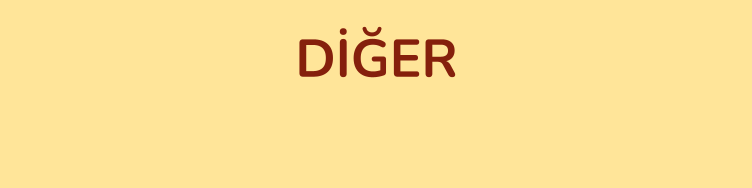 DİĞER