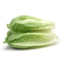 מבצע מארז חסה 3יח- 12₪