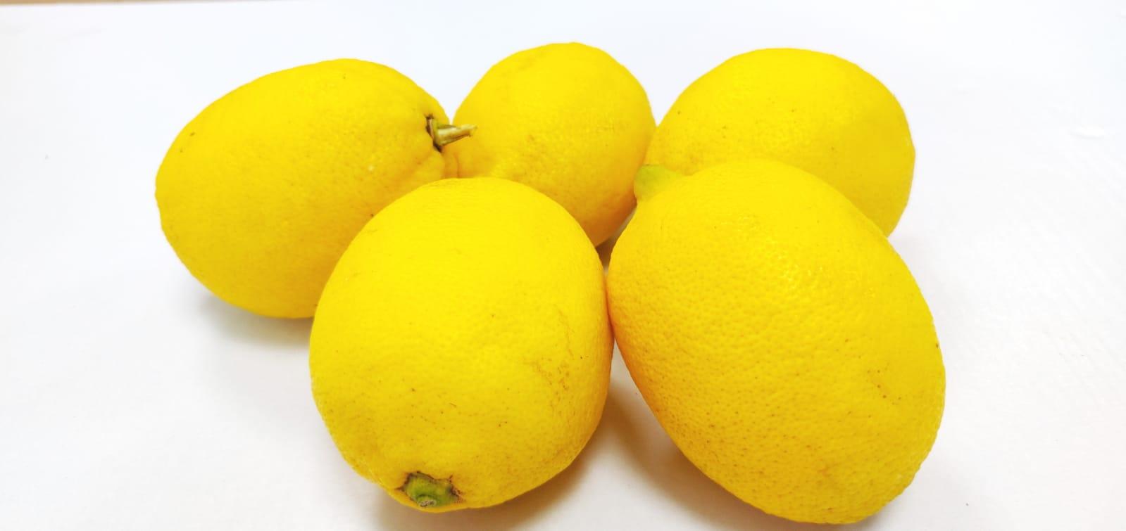 קילו לימון - ₪9