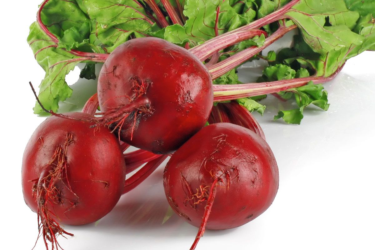 Remolacha (Beet Root)