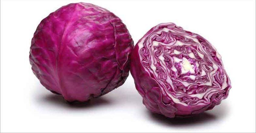 Repollo Morado Kg (Purple Cabbage)