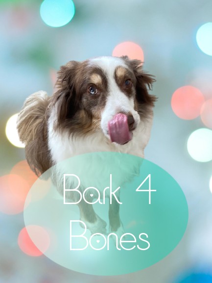 Bark 4 Bones Order Form
