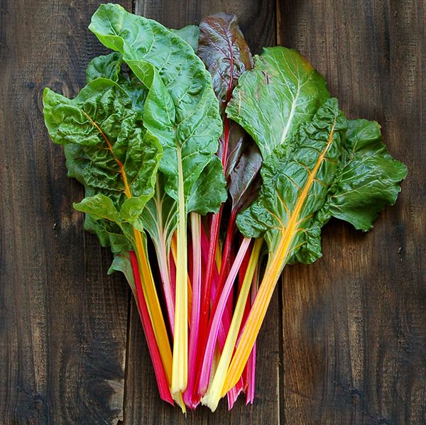 Rainbow Chard SOLD OUT