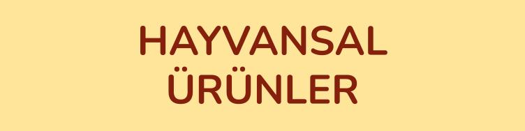 HAYVANSAL ÜRÜNLER