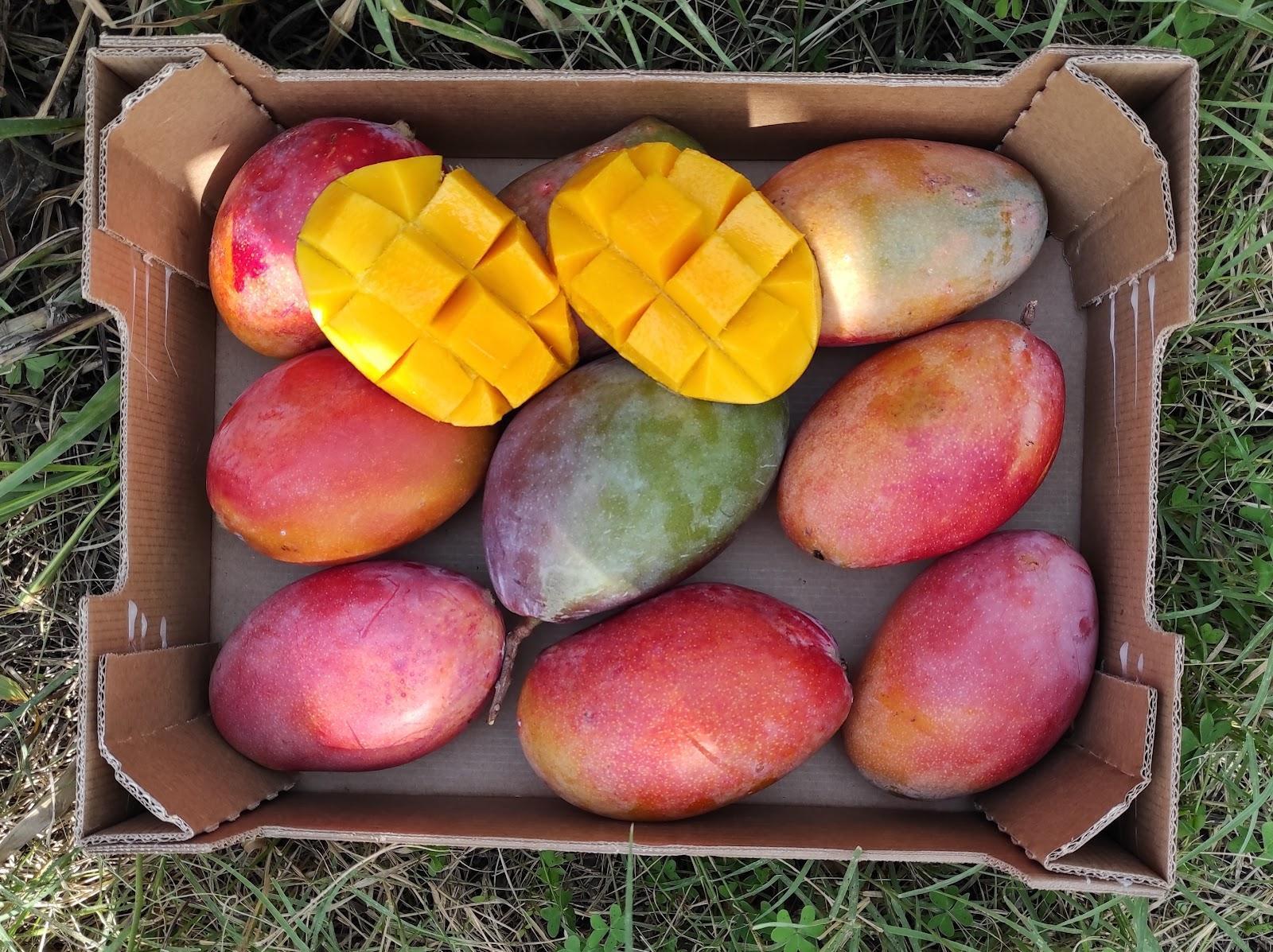 Mango's (5kg)