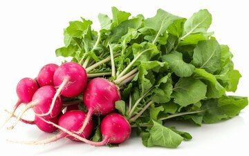 Rabanitos rollo (Radish bundle)