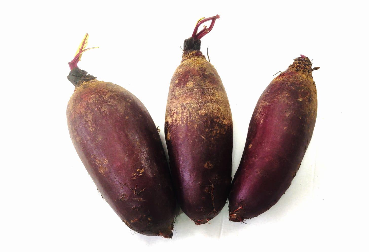 מארז סלק מאורך- 10₪