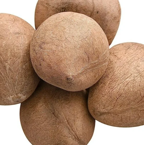 Dry Coconut (Kobri) - 40rs per piece