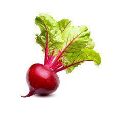 קילו סלק רגיל - 10₪