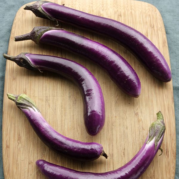 Ping tong long Eggplant