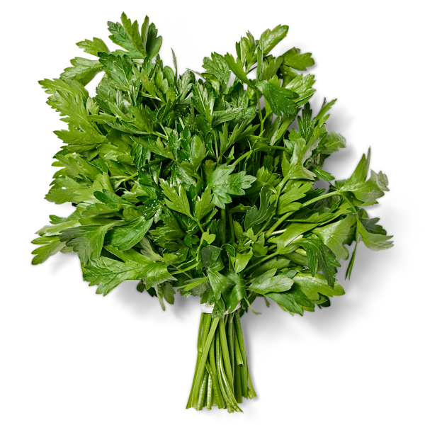 Perejil Italiano rollo (Italian Parsley bundle)