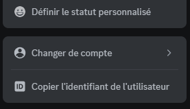 Discord ID( Exp: 44544564)