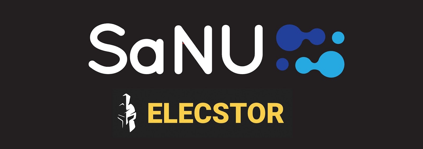 Sanu Elecstor Order form