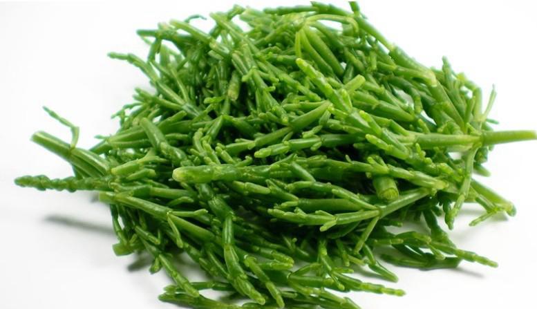 150גר סליקורניה- 10₪