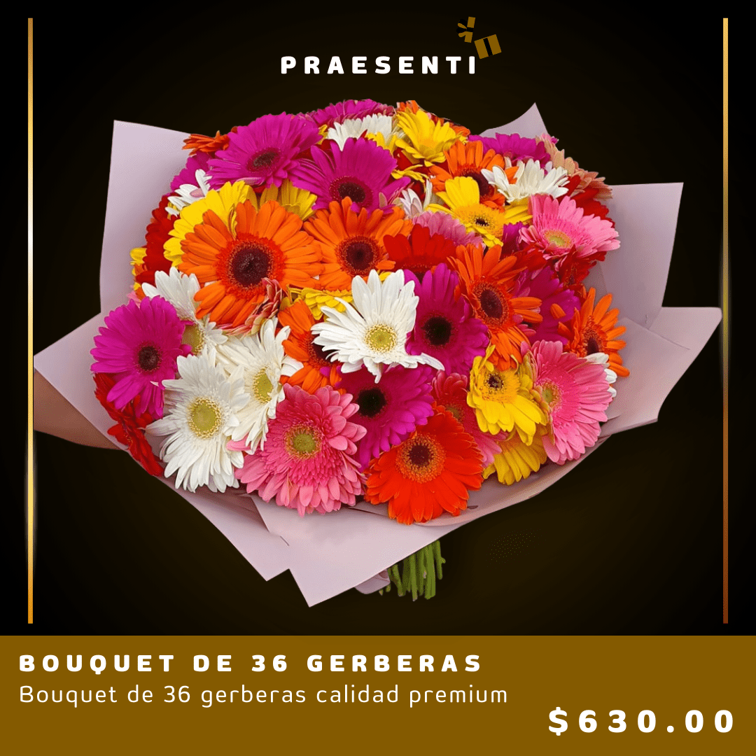 BOUQUET DE 36 GERBERAS